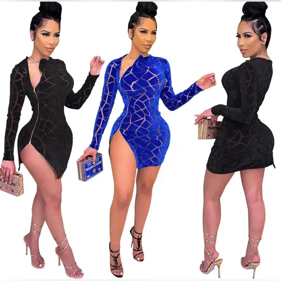 Semi Sheer Velvet Zipper Long Sleeve Bodycon Dress-Plus - Picture 3 of 4